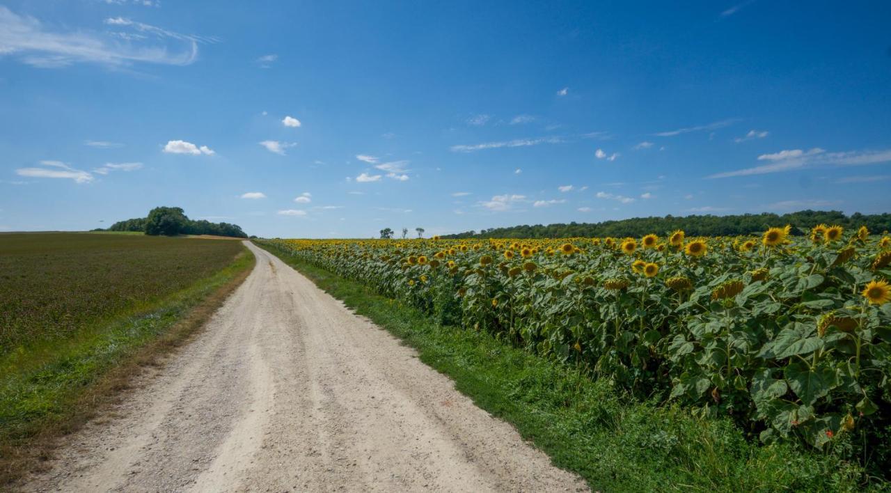 Chambre D'Hotes Fantesstique Berzieux Zewnętrze zdjęcie