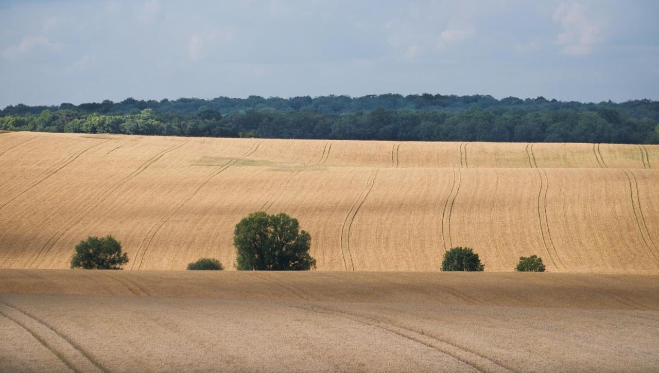 Chambre D'Hotes Fantesstique Berzieux Zewnętrze zdjęcie